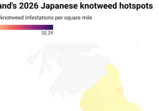 Knotweed Hotspots