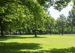 Park