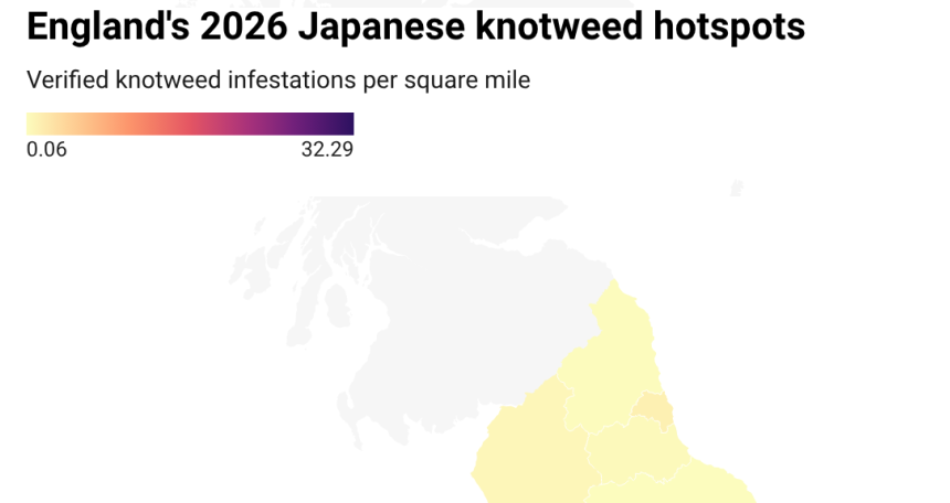 Knotweed Hotspots