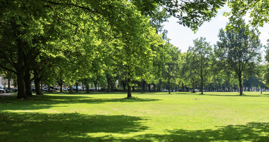Park